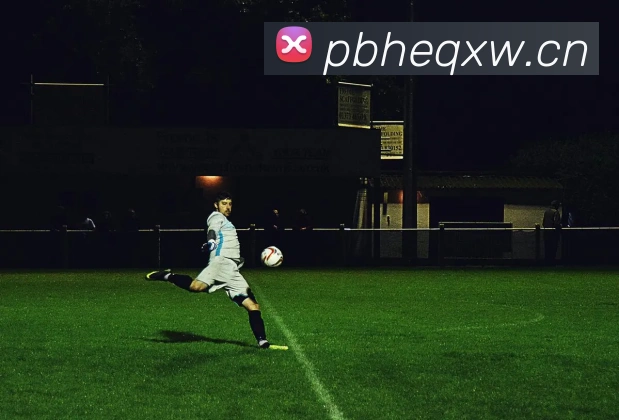 华体网手机版登录入口APP 封面图